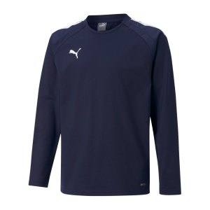 puma-teamliga-sweatshirt-kids-blau-f06-657239-teamsport_front.png