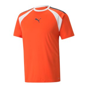 puma-teamliga-multisport-t-shirt-orange-f13-658084-teamsport_front.png