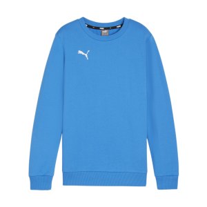 puma-teamgoal-casuals-sweatshirt-kids-blau-f02-658593-teamsport_front.png