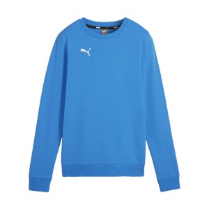 puma-teamgoal-casuals-sweatshirt-damen-blau-f02-658594-teamsport_front.png