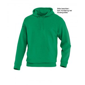 jako-team-kapuzensweatshirt-hoody-sweatshirt-pullover-teamsport-freizeit-kids-f06-gruen-6733.png