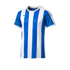 puma-striped-trikot-kurzarm-blau-weiss-f02-shortsleeve-shirt-jersey-matchwear-spiel-training-teamsport-702068.png