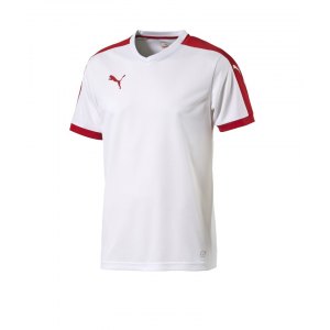 puma-pitch-shortsleeved-shirt-trikot-kurzarmtrikot-jersey-kindertrikot-teamwear-vereinsausstattung-kids-children-weiss-f12-702070.png