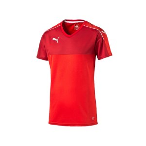 puma-accuracy-trikot-kurzarm-jersey-teamsport-vereine-men-herren-maenner-rot-weiss-f01-702214.png