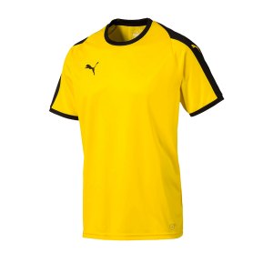 puma-liga-trikot-kurzarm-gelb-schwarz-f07-funktionskleidung-vereinsausstattung-team-ausruestung-mannschaftssport-ballsportart-703417.png