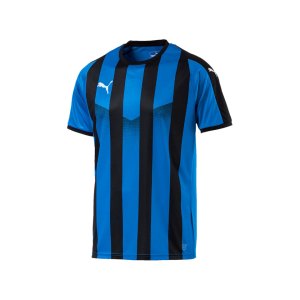 puma-liga-striped-trikot-kurzarm-blau-schwarz-f22-teamsport-textilien-sport-mannschaft-erwachsene-703424.png