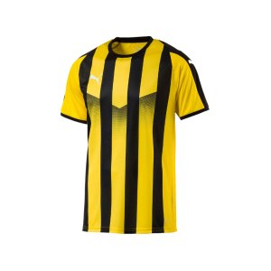 puma-liga-striped-trikot-kurzarm-gelb-schwarz-f07-teamsport-textilien-sport-mannschaft-erwachsene-703424.png