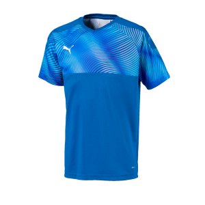 puma-cup-jersey-trikot-kurzarm-kids-blau-f02-fussball-teamsport-textil-trikots-703774.png