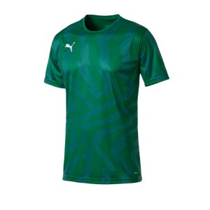 puma-cup-jersey-core-t-shirt-gruen-f05-fussball-teamsport-textil-t-shirts-703775.png