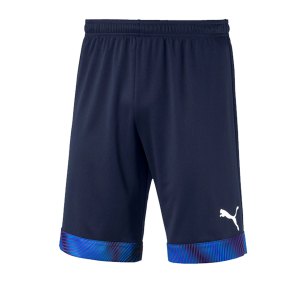 puma-cup-short-dunkelblau-weiss-f06-fussball-teamsport-textil-shorts-704034.png
