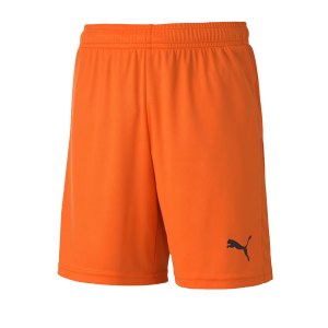 puma-teamgoal-23-knit-short-kids-orange-f08-fussball-teamsport-textil-shorts-704263.png