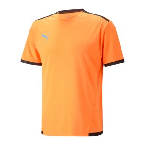 puma-teamliga-trikot-orange-schwarz-f50-704917-teamsport_front.png