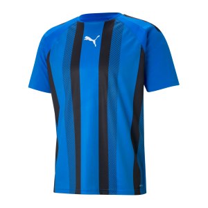 puma-teamliga-striped-trikot-blau-schwarz-f02-704920-teamsport_front.png