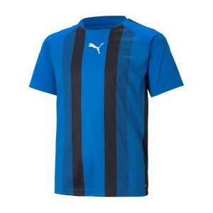 puma-teamliga-striped-trikot-kids-blau-schwarz-f02-704927-teamsport_front.png