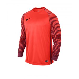 nike-gardien-trikot-langarm-sportbekleidung-langarmtrikot-kids-kinder-teamsport-orange-f671-725969.png