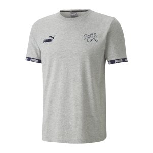 puma-schweiz-ftblculture-tee-t-shirt-grau-f14-replicas-t-shirts-nationalteams-757354.png
