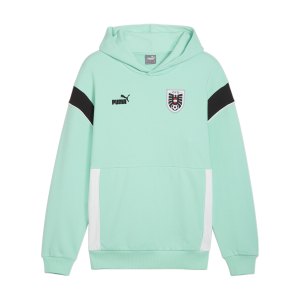 puma-oesterreich-ftbl-archive-hoody-tuerkis-f07-774191-fan-shop_front.png