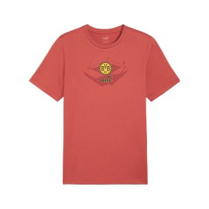 puma-bvb-dortmund-ftbl-icons-t-shirt-rot-f04-774254-fan-shop_front.png