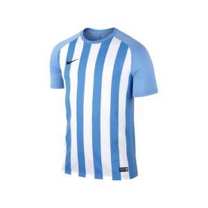 nike-striped-segment-iii-trikot-kurzarm-blau-f412-teamsport-fussball-mannschaft-ausruestung-jersey-832976.png