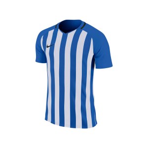 nike-striped-division-iii-trikot-kurzarm-f464-trikot-shirt-team-mannschaftssport-ballsportart-894081.png