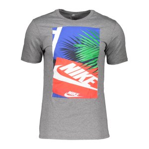 nike-ftwr-ii-tee-t-shirt-grau-f091-lifestyle-textilien-t-shirts-911950.png