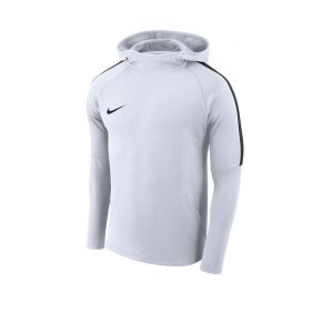 nike-dry-academy-18-kapuzensweatshirt-kids-f100-hoodie-kapuzenshirt-kinder-fussball-mannschaftssport-ballsportart-aj0109.png