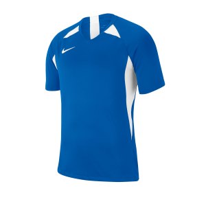 nike-striker-v-trikot-kurzarm-kids-blau-f463-fussball-teamsport-textil-trikots-aj1010.png