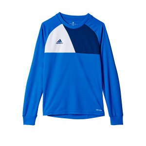 adidas-assita-17-langarm-shirt-kids-blau-weiss-fussball-teamsport-textil-torwarttrikots-az5404.png