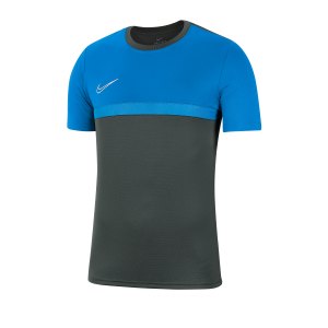 nike-dri-fit-academy-pro-t-shirt-grau-blau-f075-fussball-teamsport-textil-t-shirts-bv6926.png