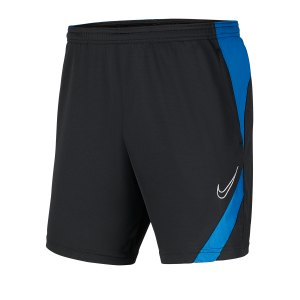 nike-dri-fit-academy-pro-shorts-kids-grau-f066-fussball-teamsport-textil-shorts-bv6946.png