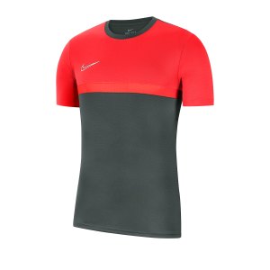 nike-dri-fit-academy-pro-shirt-kurzarm-kids-f064-fussball-teamsport-textil-t-shirts-bv6947.png