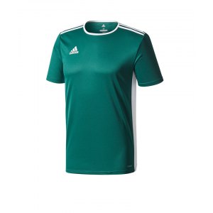 adidas-entrada-18-trikot-kurzarm-duneklgruen-teamsport-mannschaft-ausstattung-shirt-shortsleeve-cd8358.png