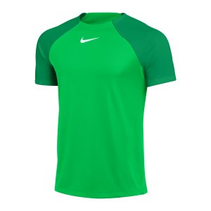nike-academy-pro-t-shirt-gruen-weiss-f329-dh9225-teamsport_front.png