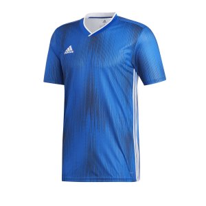 adidas-tiro-19-trikot-kurzarm-blau-weiss-fussball-teamsport-textil-trikots-dp3532.png