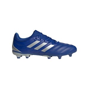 adidas-copa-inflight-20-3-fg-blau-silber-eh1500-fussballschuh_right_out.png