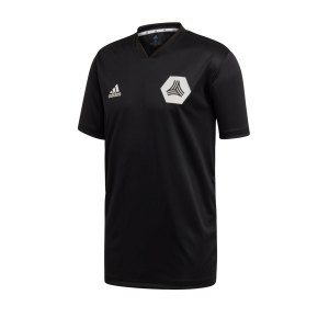 adidas-tango-trainingsshirt-kurzarm-schwarz-fussball-textilien-t-shirts-fm0805.png