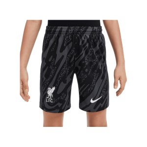 nike-fc-liverpool-torwartshort-2024-2025-kids-f061-fn9189-fan-shop_front.png