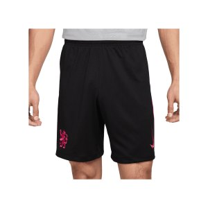 nike-fc-chelsea-short-3rd-2024-2025-schwarz-f010-fq2056-fan-shop_front.png