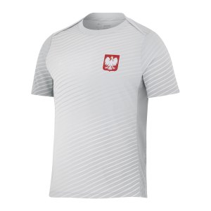 nike-polen-academy-pro-t-shirt-grau-weiss-f012-fq8625-fan-shop_front.png