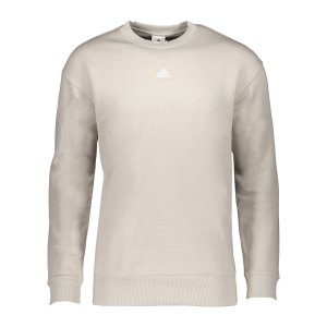 adidas-sweatshirt-grau-hk0396-fussballtextilien_front.png