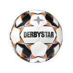 Derbystar Brilliant TT AG v22 Trainingsball F127