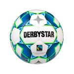 Derbystar Gamma TT v20 Trainingsball Weiss F164