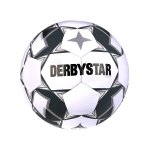 Derbystar Apus TT v23 Trainingsball Weiss Blau F160