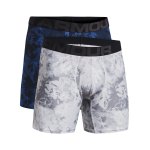 Under Armour Tech 6in Boxershort 2er Pack F433