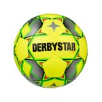 Derbystar Futsal Basic Pro S-Light V20 Ball F584