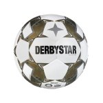 Derbystar Brillant APS v24 Spielball Weiss F180