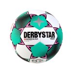 Derbystar Bundesliga Brillant APS Spielball Weiss F020