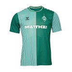 Hummel SV Werder Bremen Trikot 3rd 2023/2024 F6108