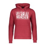 FC Bayern München Capsule T-Shirt Blau