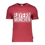 FC Bayern München Capsule T-Shirt Kids Blau